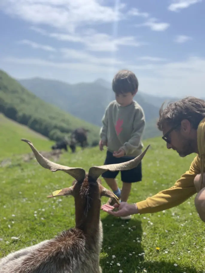 Une famille découvrant les animaux lors d'une randonnée pédestre organisée à Iraty.