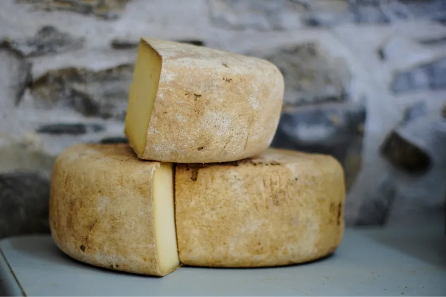 Fromage de brebis.